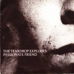 The Teardrop Explodes : Passionate Friend